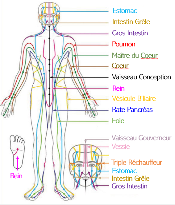 Carte des méridiens énergétiques